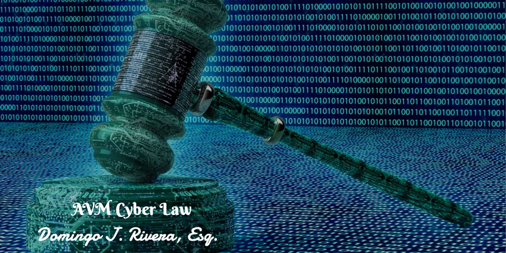 AVM Cyber Law
